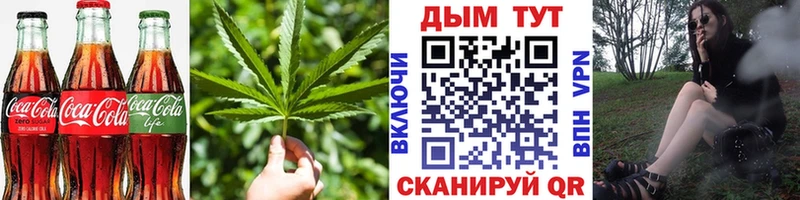 Cannafood конопля  Новоржев 