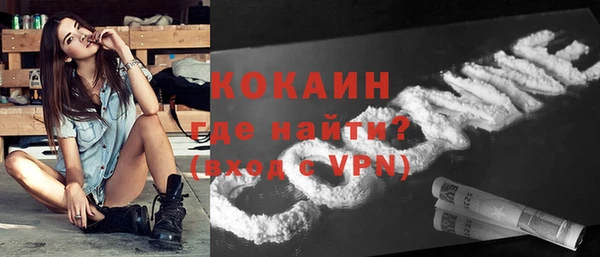 прущие грибы Володарск