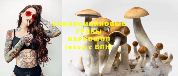 ГАЛЛЮЦИНОГЕННЫЕ ГРИБЫ Богородск