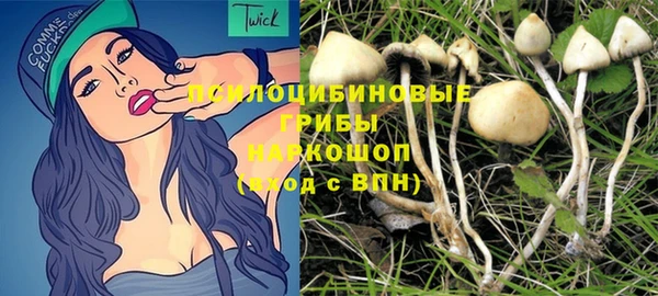 бутик Бородино