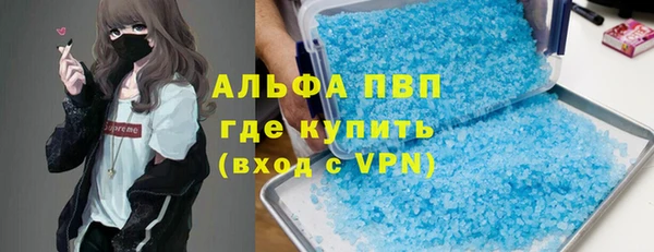 прущие грибы Володарск