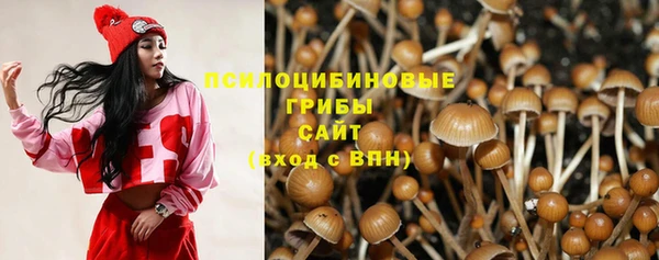 прущие грибы Володарск